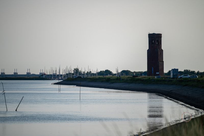 Bruinvissen spotten
