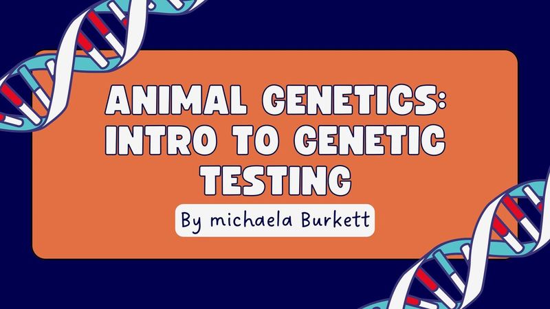 🧬Animal Genetics Health and Disorder swab kit