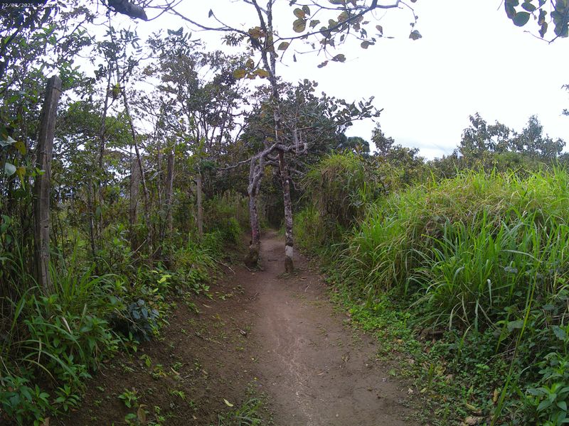 Hiking in Pernambuco