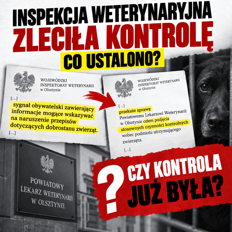 🚨WOJEWÓDZKA INSPEKCJA WETERYNARYJNA ZLECIŁA CZYNNOŚCI KONTROLNE. Co ustaliła?