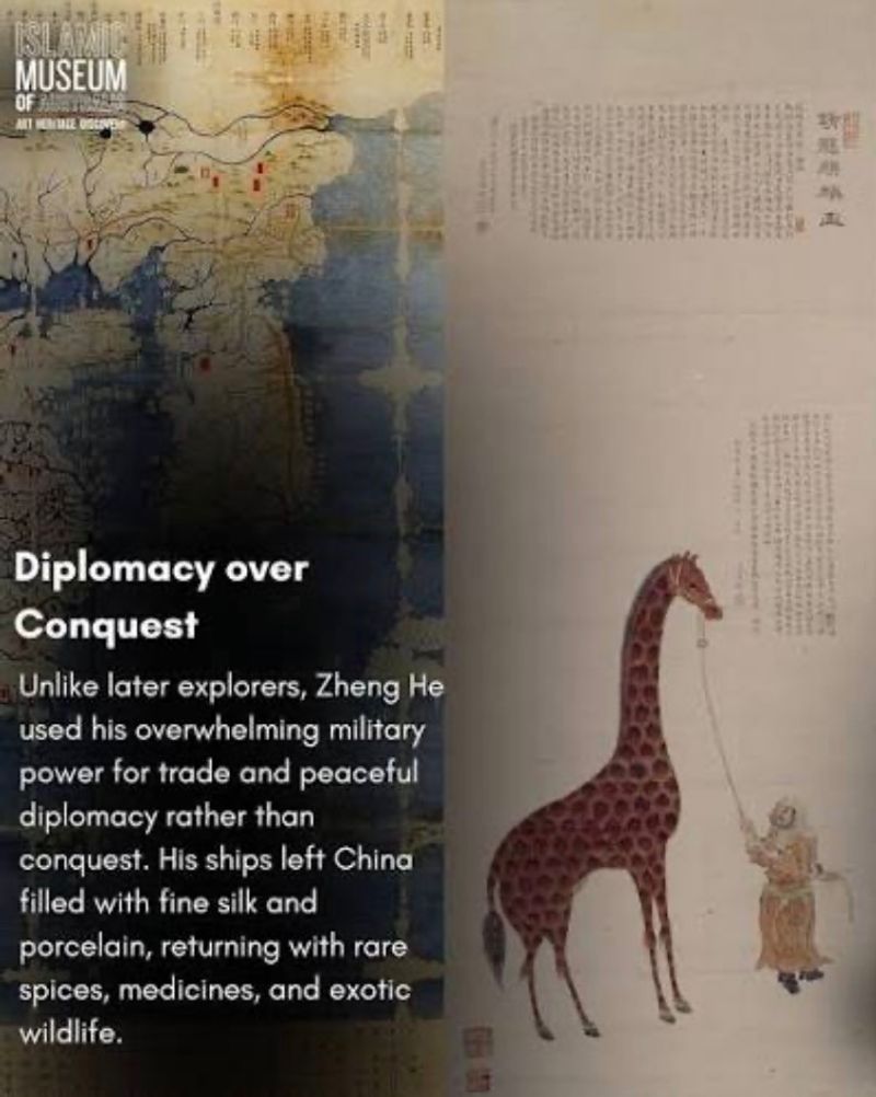 Sino-Africa Relations: Zheng He’s Giraffe and Africa’s Fish