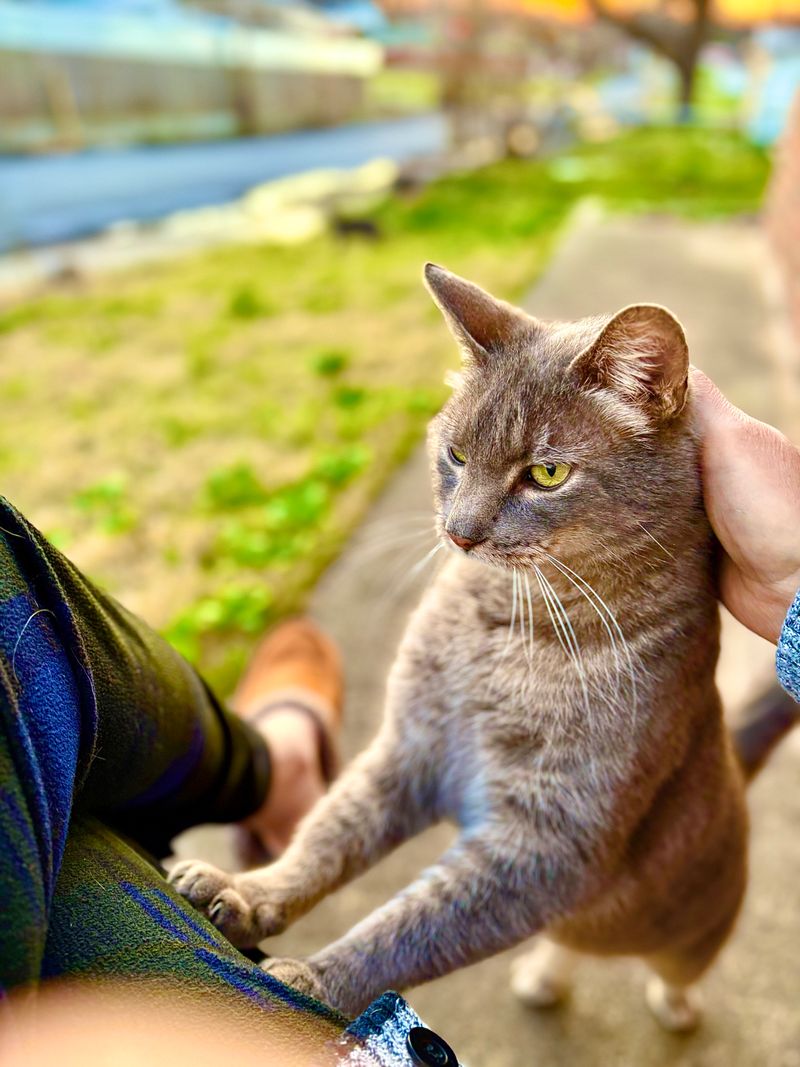 Hello there! This is Solo.