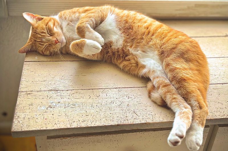 💤 Nap time 💤