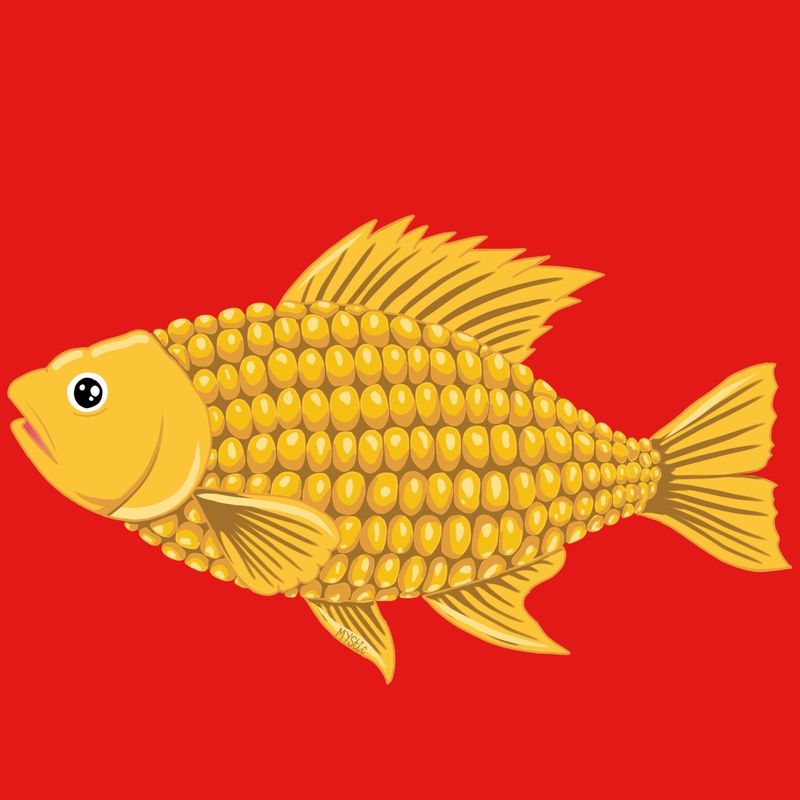 Corn Feesh🌽