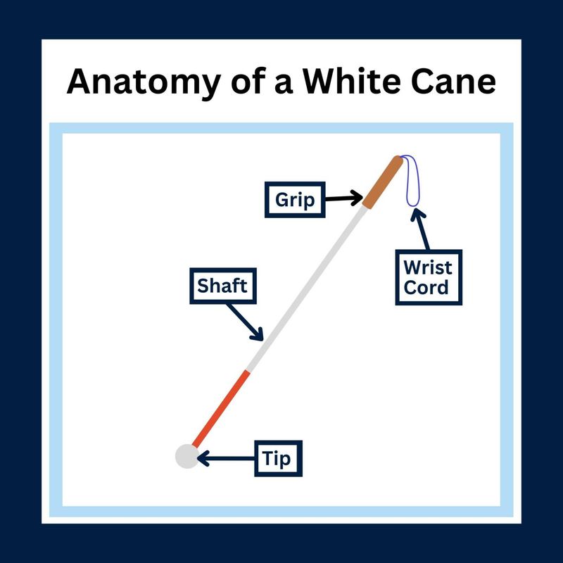 World White Cane Day🦯