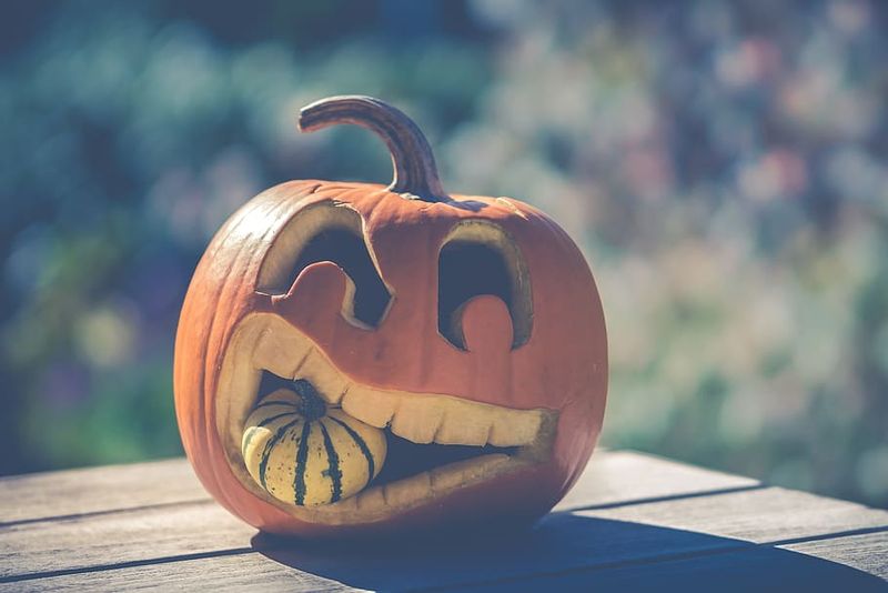 Halloween is coming🎃