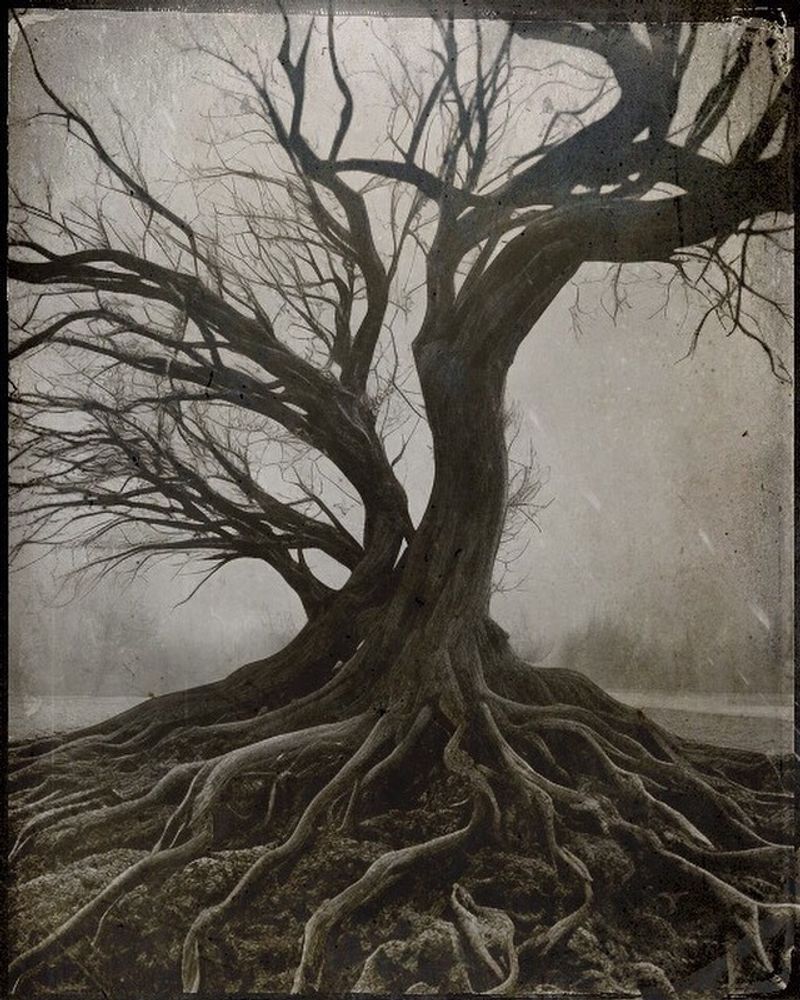 A Scholarly Guide to Ancestor Veneration as Foundational Spirit Work