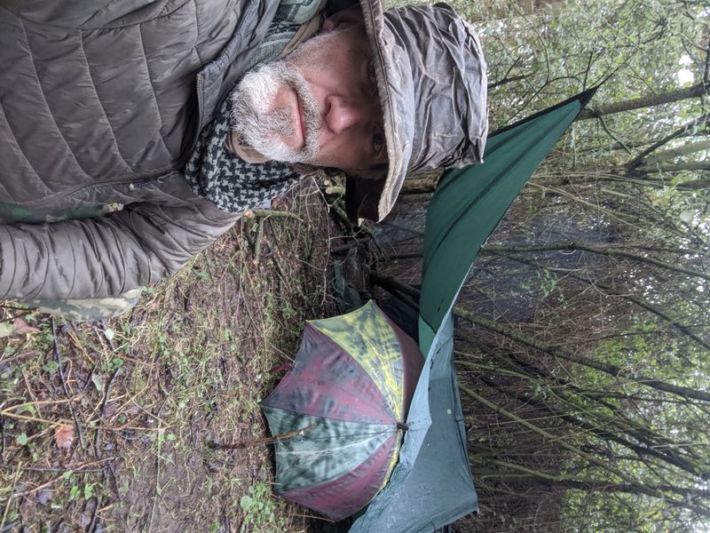 Been hunkered in a little woodland today