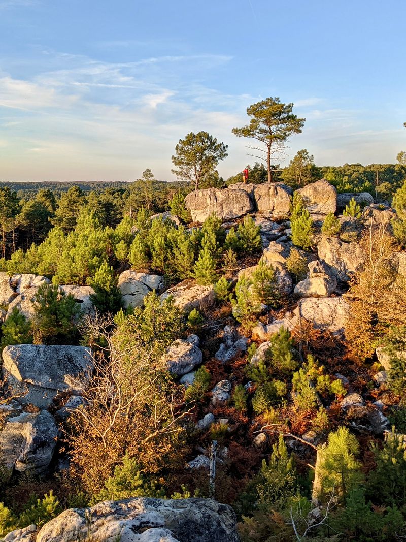 Trails of Fontainebleau near Paris