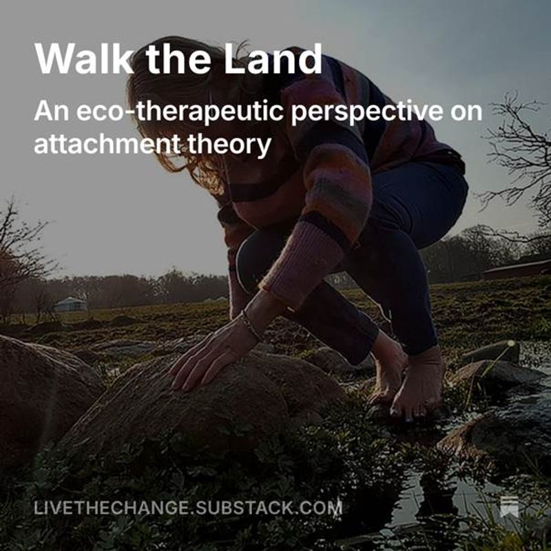 Walk the Land - Rewild your Heart