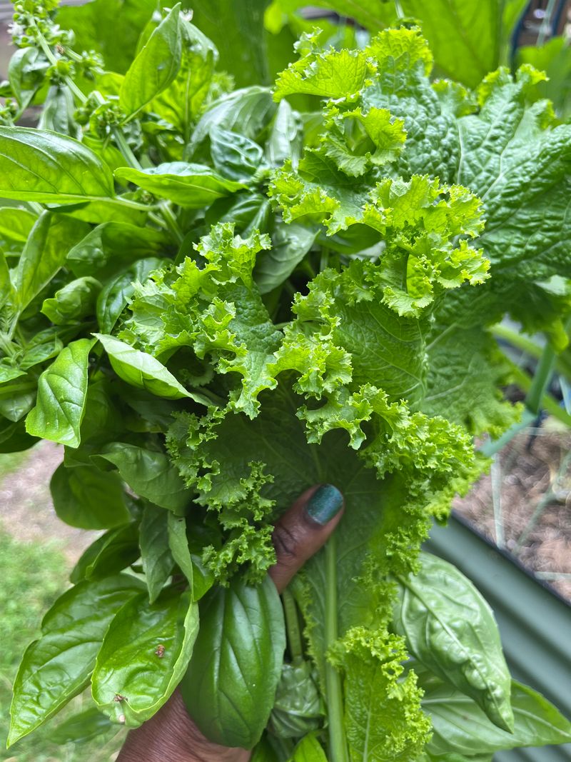Molto Pesto