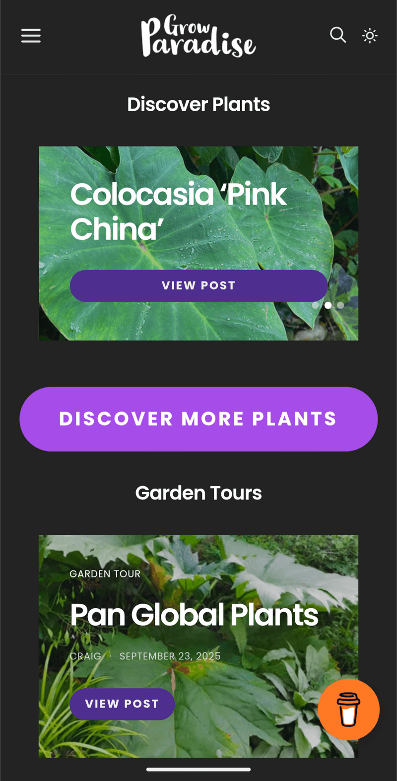 Behind the scenes: New website in the making