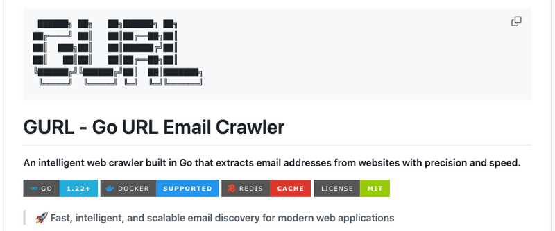 🕷️ GURL — Go URL Email Crawler
