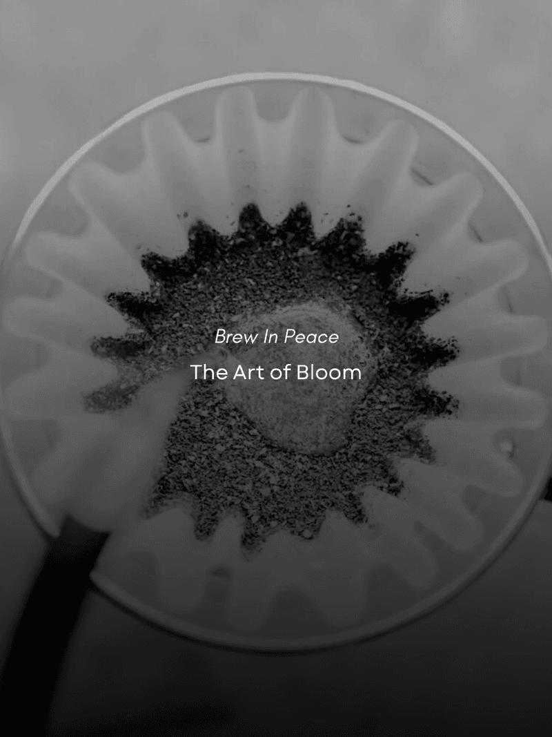 The Art of the Bloom