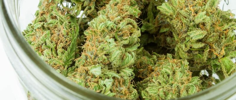 The Next Taxed Vice: Cannabis After Tobacco and Vapes