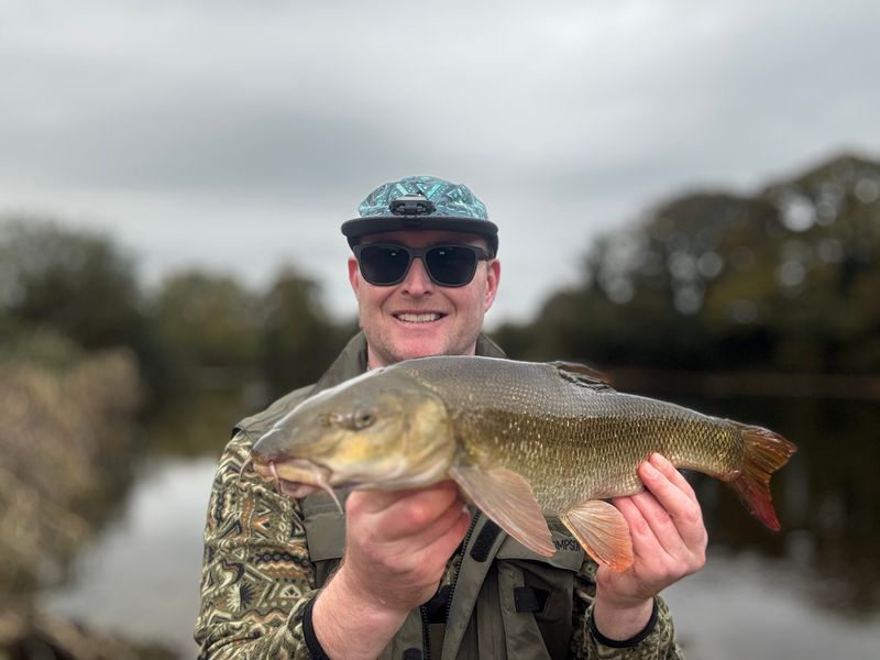 🎣 The Best Things in Life Are Free