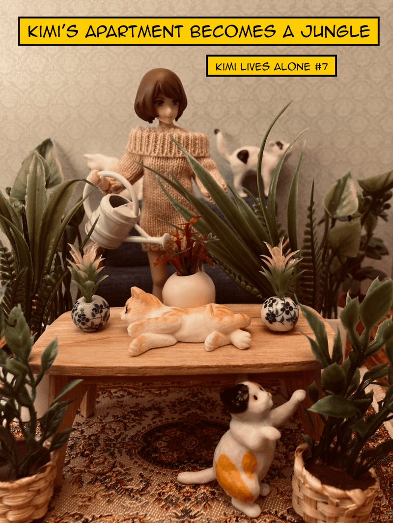 Kimi's apartment becomes a jungle