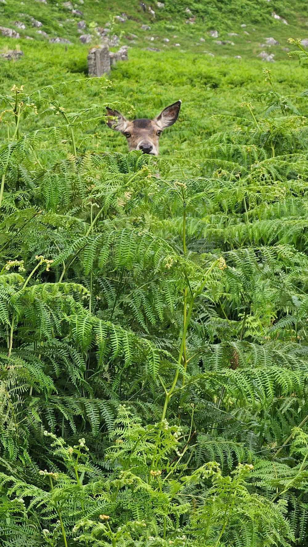 image 17