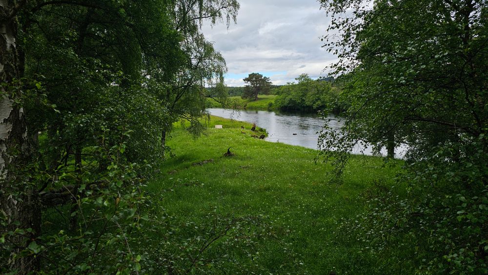 image 23