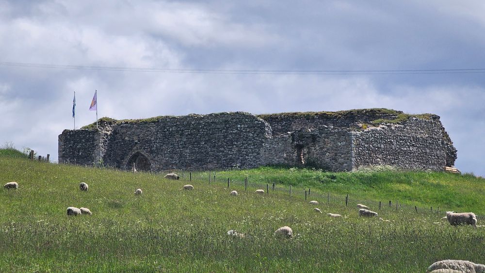 image 24