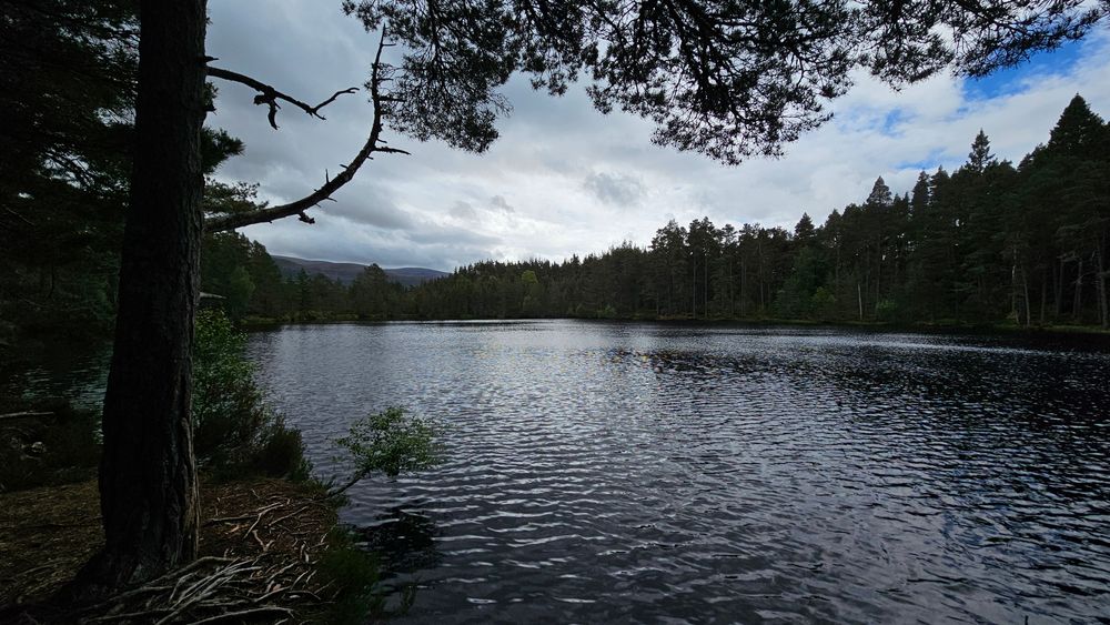 image 26