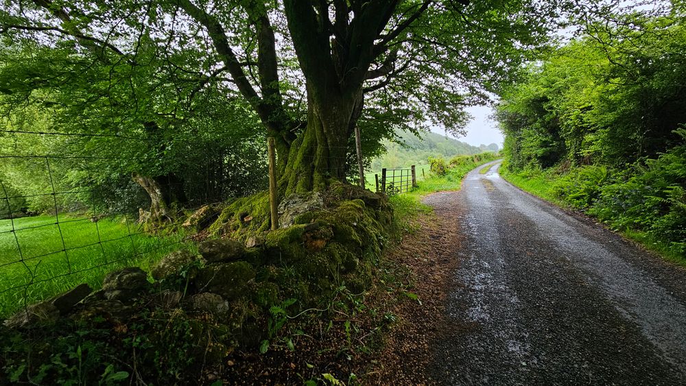 image 23