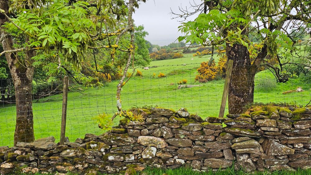 image 24