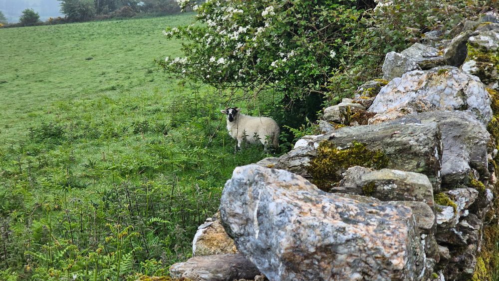 image 25