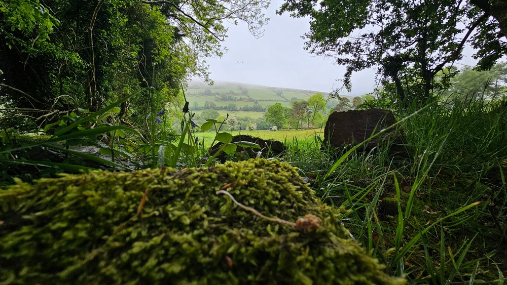 image 29