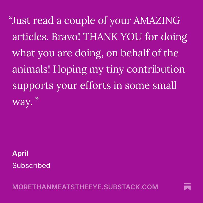 Thanks for the support!