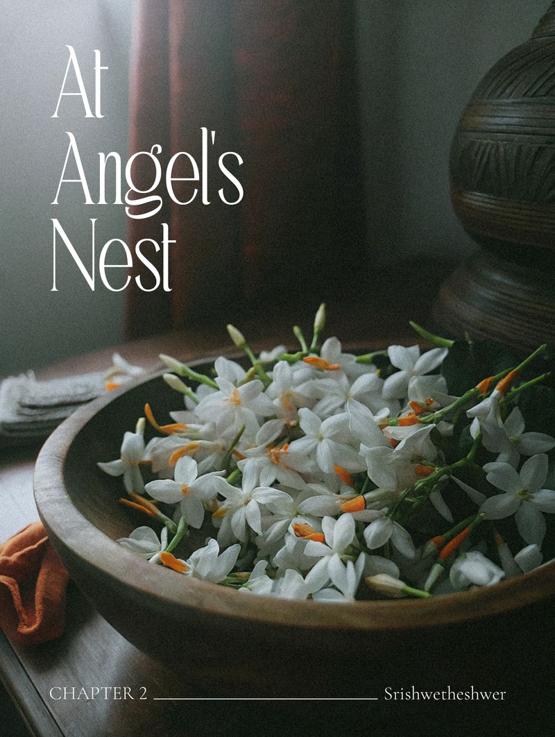 At Angel's Nest: Chapter 2