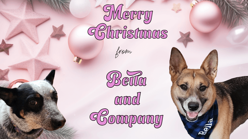 Wishing you a very Merry Christmas!