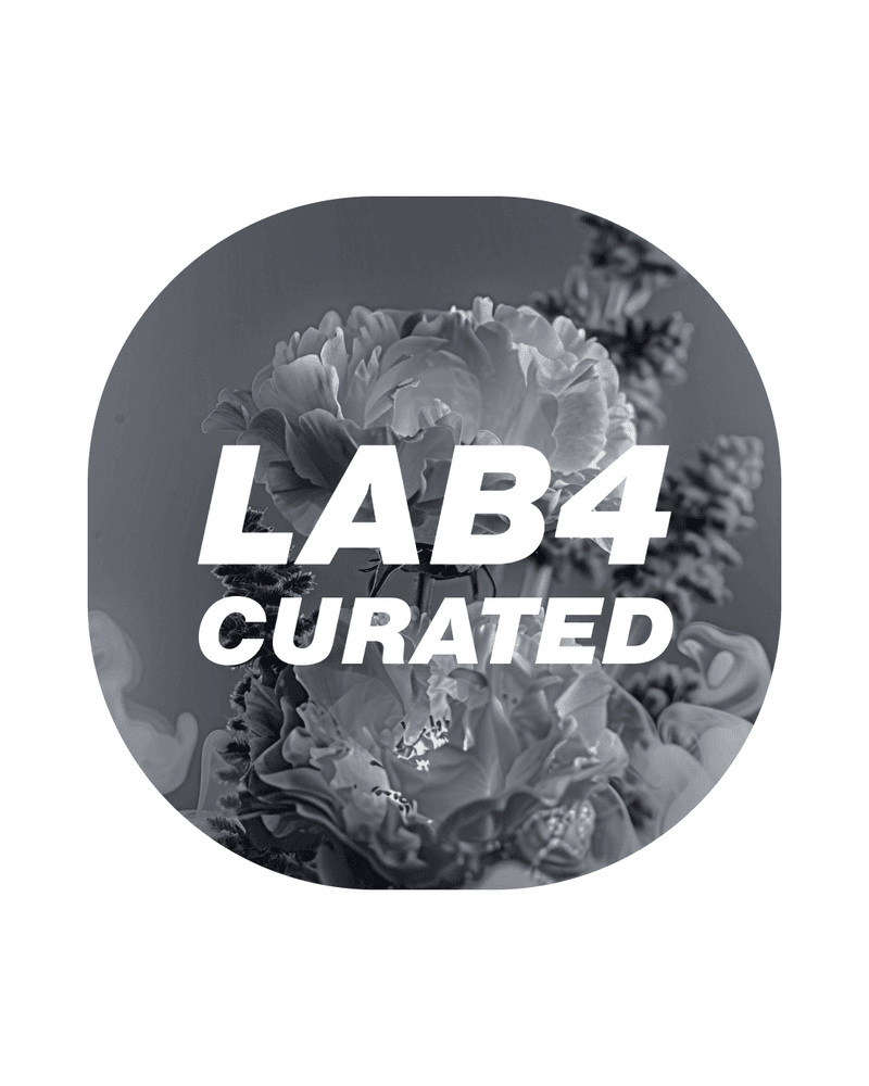 LAB4 CURATED