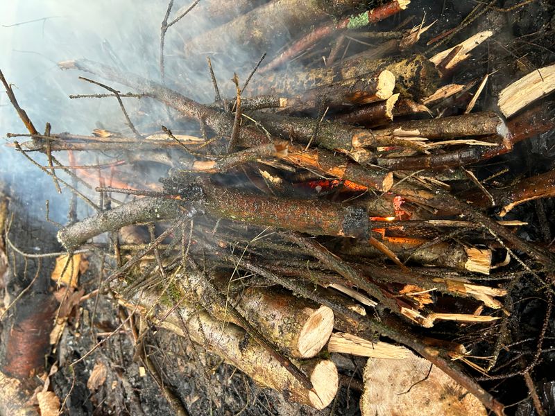 Bushcraft training - 24th November 2025