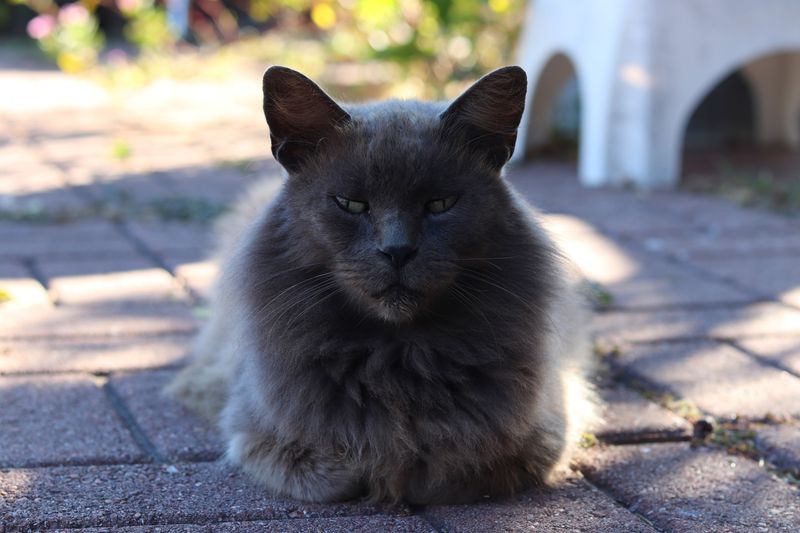 His Name Is Baby