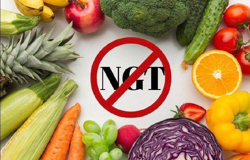 NGT-1: PERCHÉ?