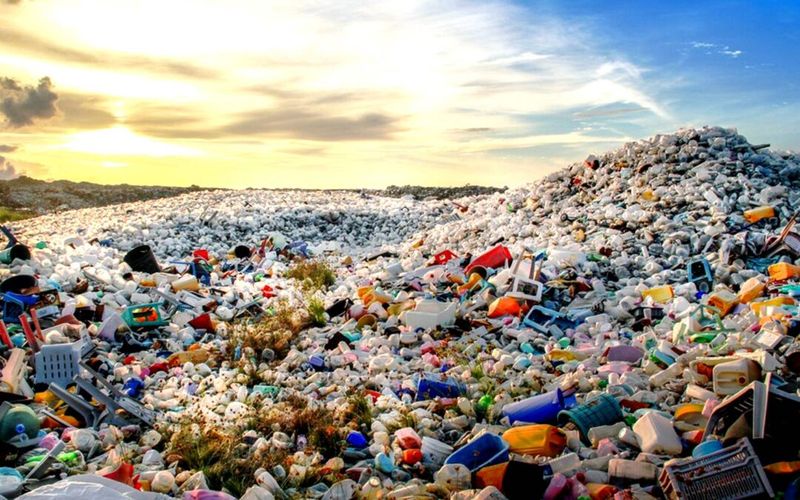 The Problem of Garbage and Its Impact on the Environment
