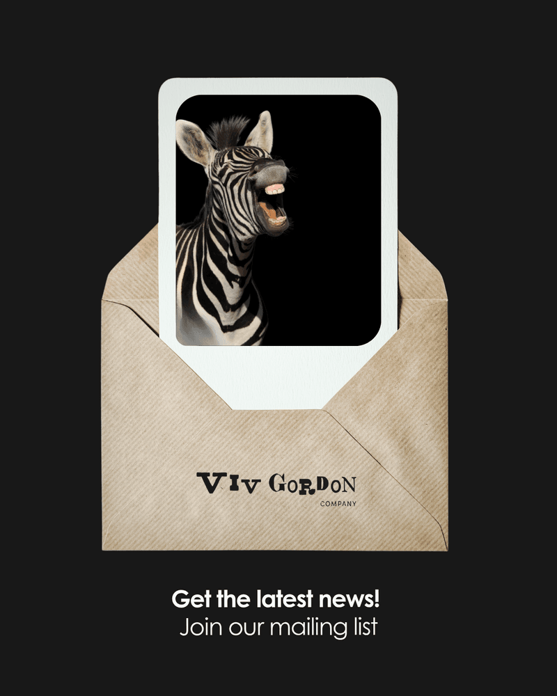 Join our mailing list!