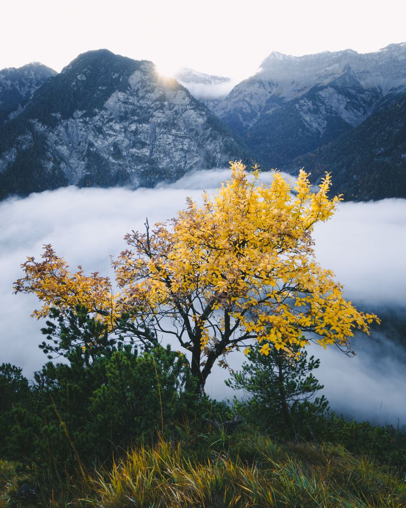 WildOutAutumn