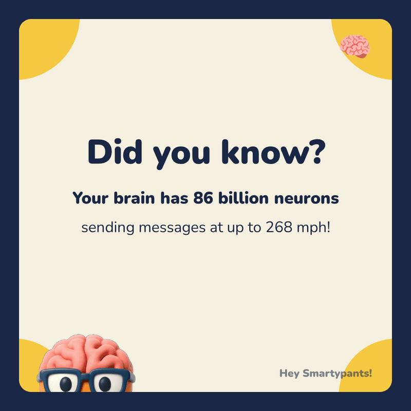 Did you know?