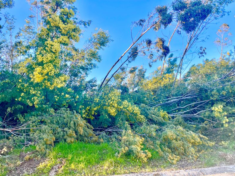 What can we learn from the storms?