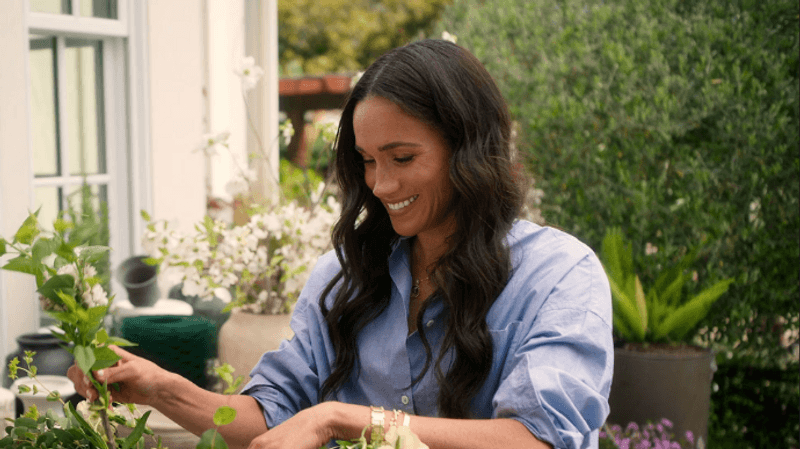 Why Anti-Racists Don’t Criticise Meghan