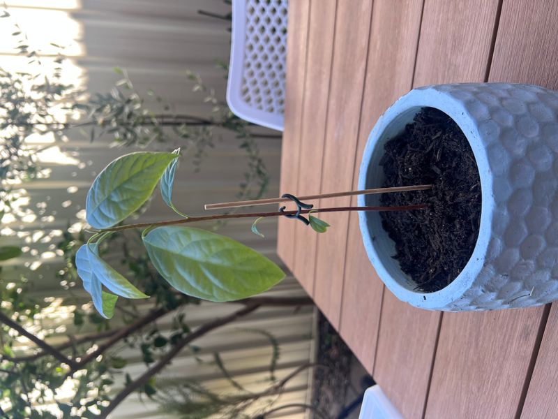 Need a little support!