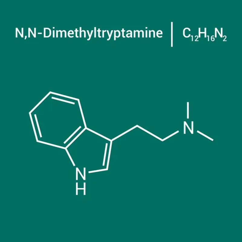 Dimethyltryptamine - DMT