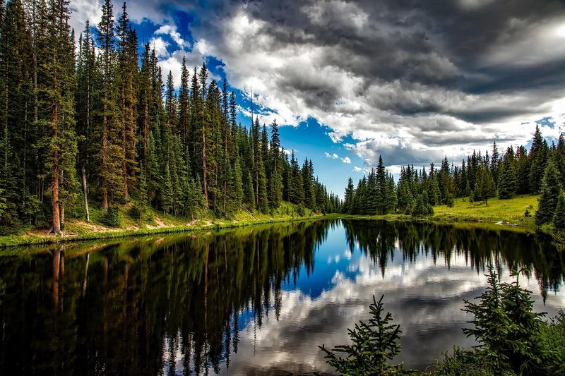 Nature's Living Masterpieces