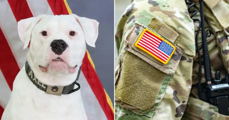 Axel Is Surrendered for Being Deaf and Grows Up to Serve With the National Guard