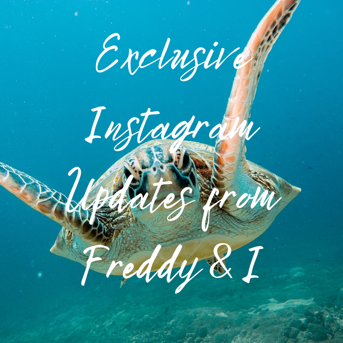 Instagram Close Friends Stories