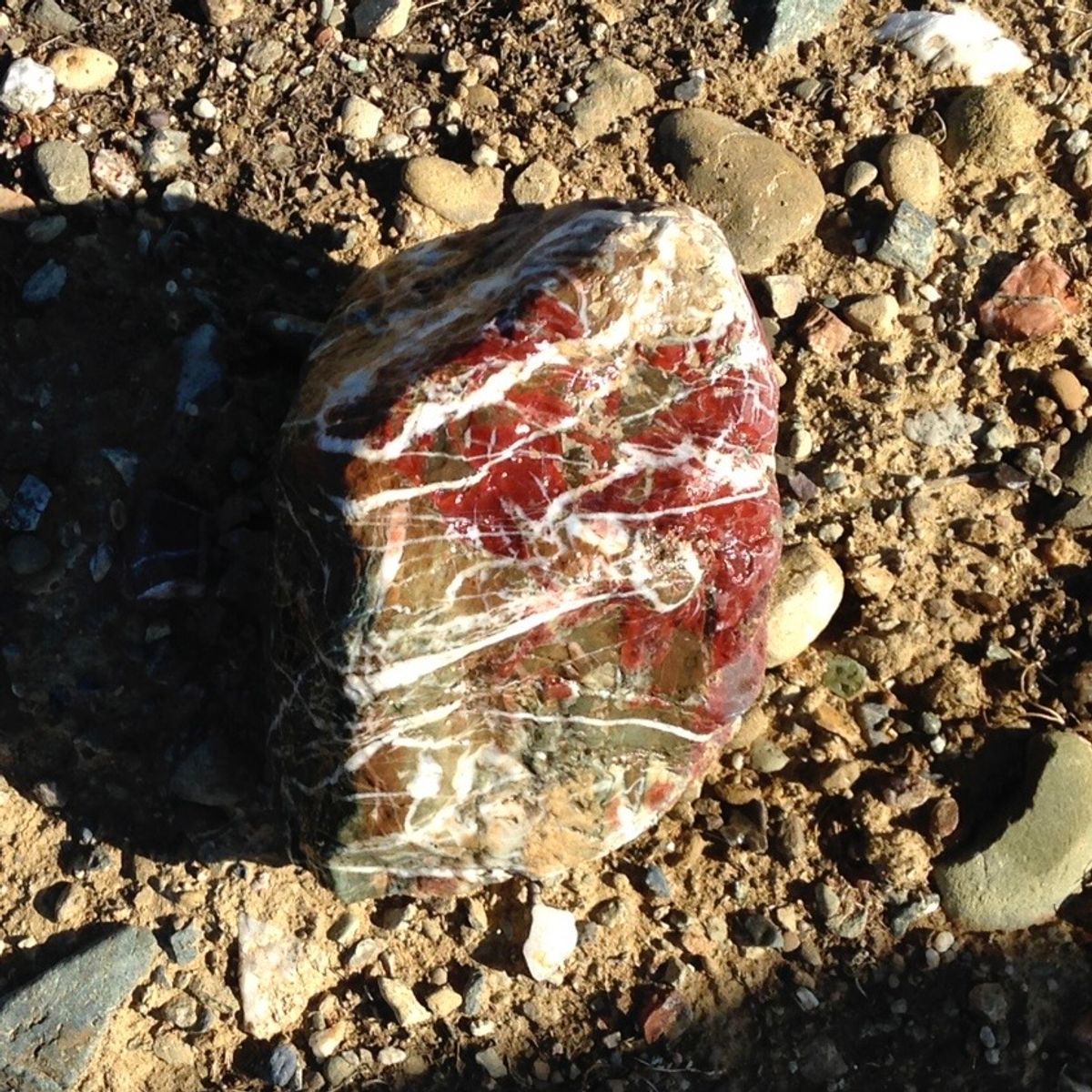 Rockhounding in the Northern Panoche Hills of Central California