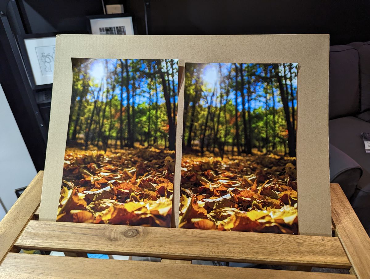 Woodland Foliage Print 8x12