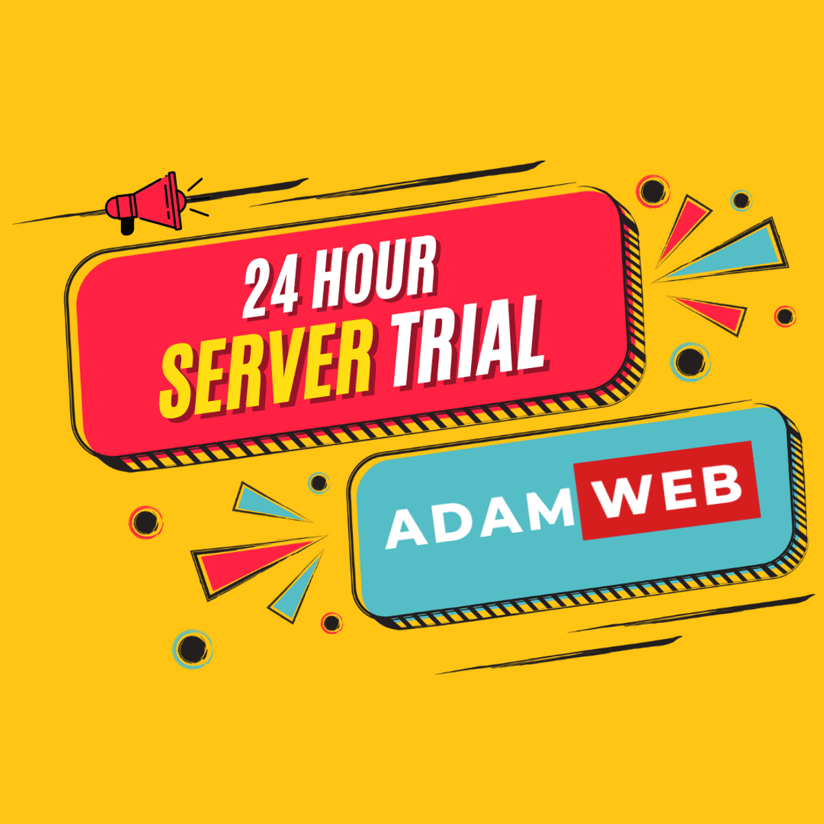 24 Hour Trial